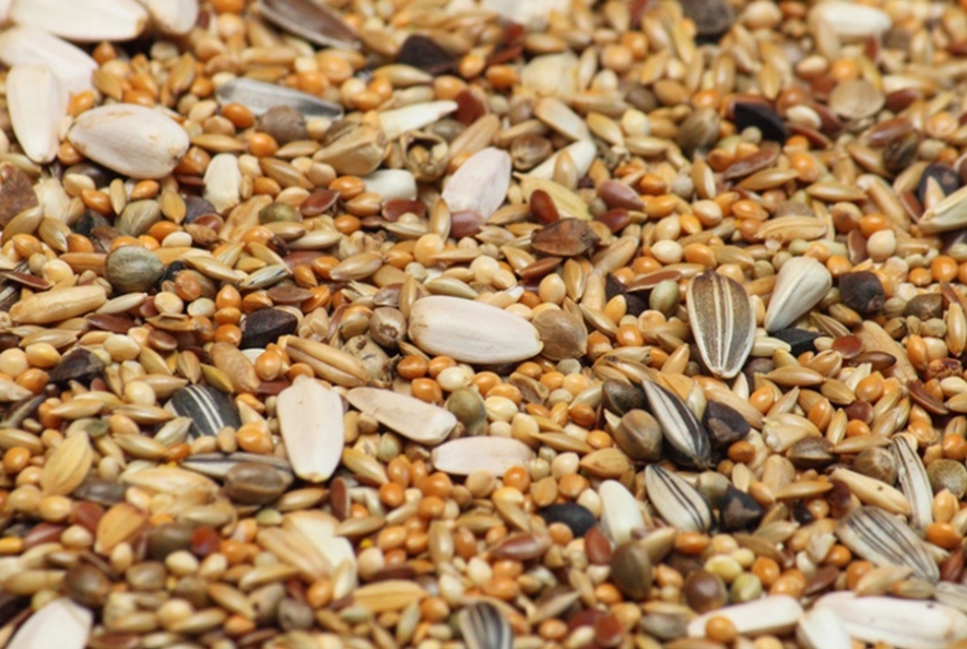 Animal Feed Additives